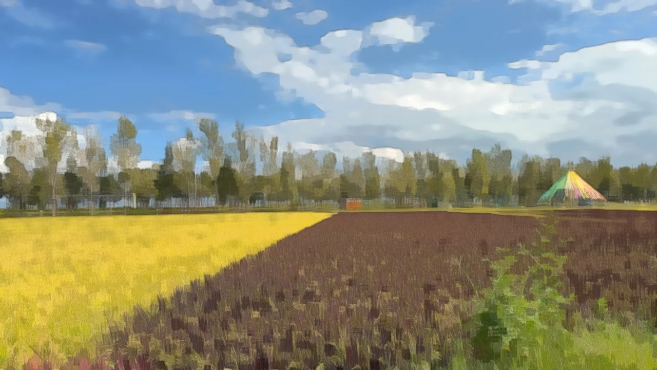 Made with Magic Camera
