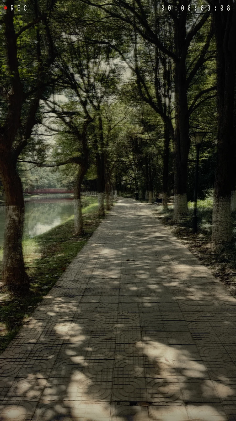 Made with Magic Camera · 05